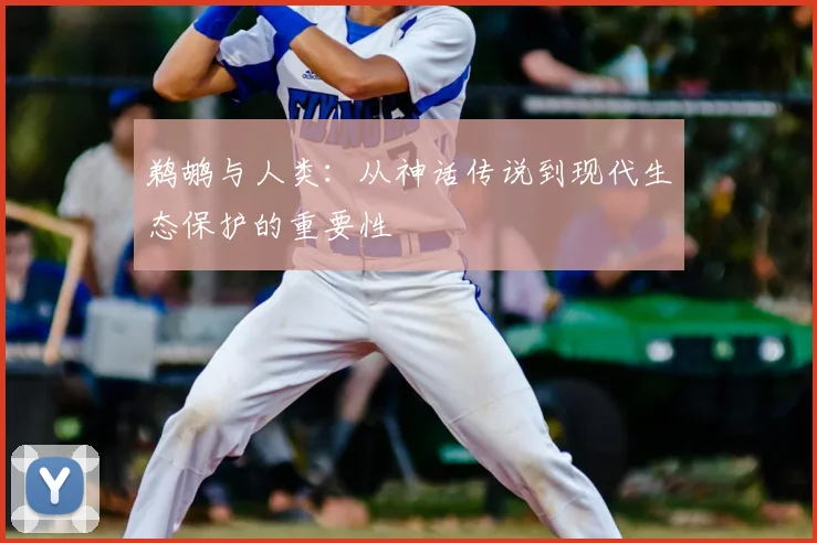 鹈鹕与人类：从神话传说到现代生态保护的重要性