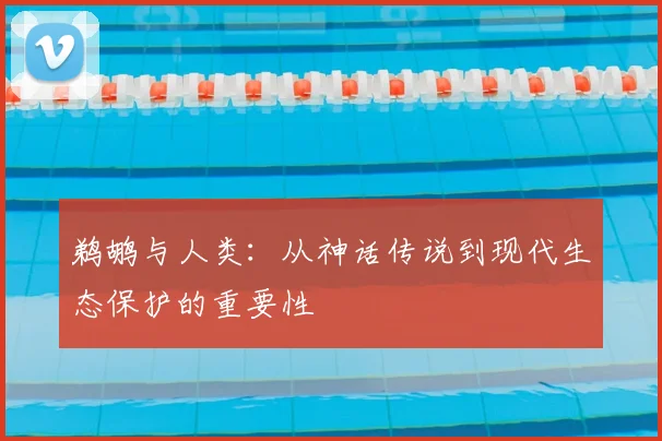 鹈鹕与人类:从神话传说到现代生态保护的重要性